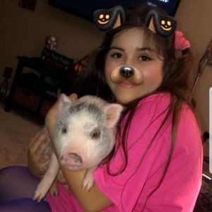 Meet your Posher, Sierra